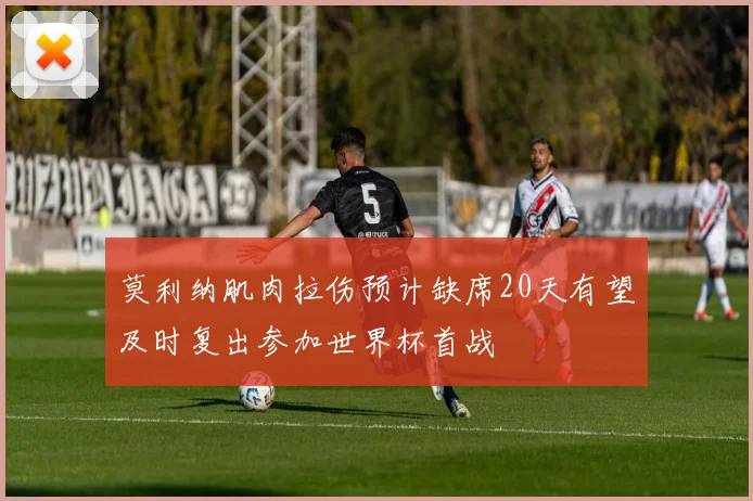 莫利纳肌肉拉伤预计缺席20天有望及时复出参加世界杯首战