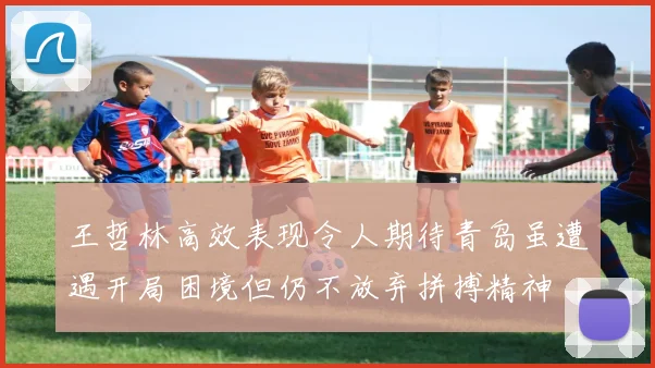王哲林高效表现令人期待青岛虽遭遇开局困境但仍不放弃拼搏精神
