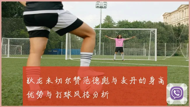 狄龙米切尔赞范德彪与麦丹的身高优势与打球风格分析